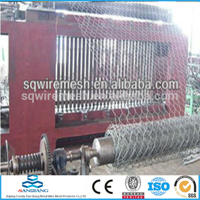 strengthening Anping Hexagnal Wire Mesh(manufacturer)
