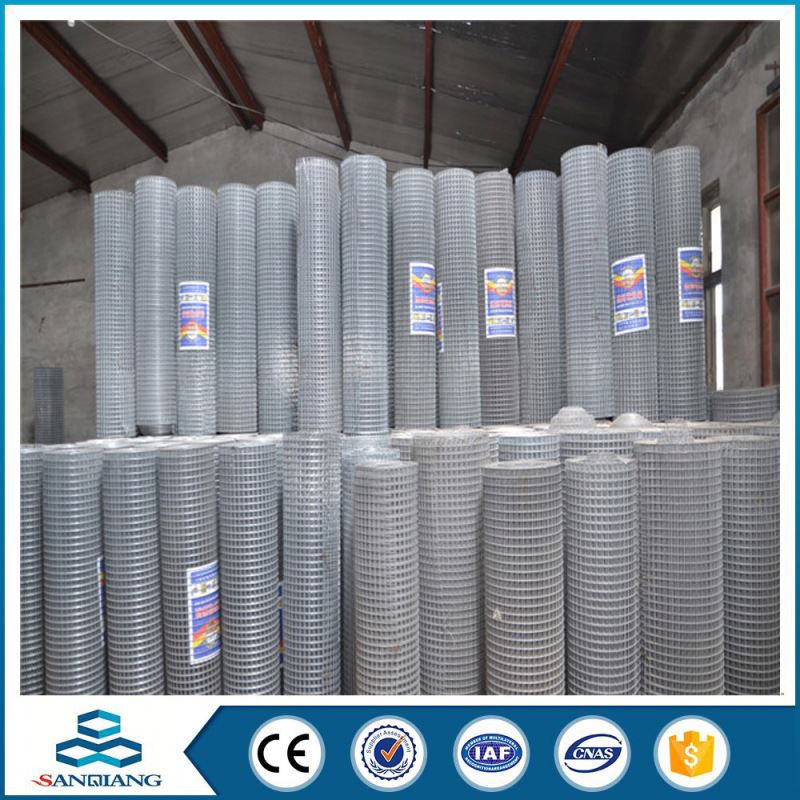 1/4 inch galvanized welded wire meshes panel