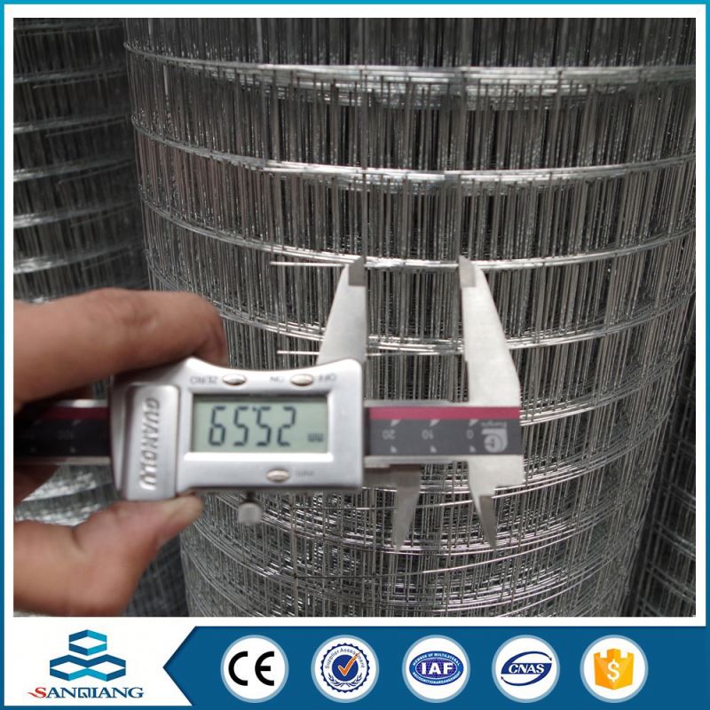 bird cage welded wire mesh machine in rollmade in china