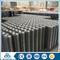 6*6 galvanized welded wire mesh aviary mesh for cages