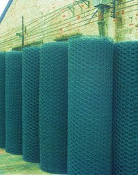 Hexagonal wire mesh