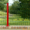 plastic coated wire mesh fence