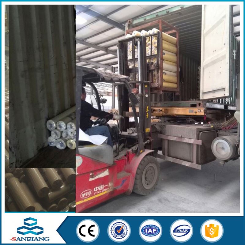 1/4 inch galvanized welded wire mesh for mice panel factory directly sell