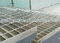 Serrated steel grating
