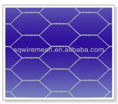 Factory Anping galvanized chicken wire mesh(21 history)