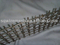 galvanized crimped wire mesh