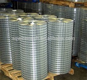 hot sell 1/4'' galvanized welded wire mesh(factory price)