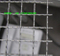crimped wire mesh /crimped stainless steel wire mesh