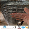 1'' * 1'' welded wire mesh (Anping manufacture)