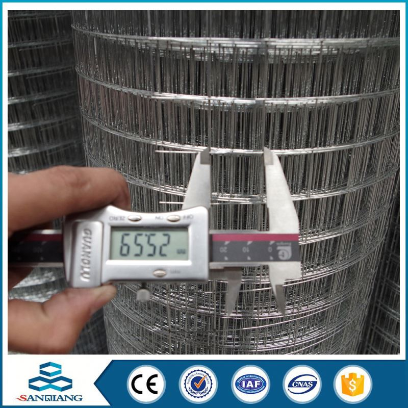 304 310 316 stainless steel 2x4 welded wire mesh panel for sale