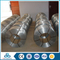 producing electro galvanized iron wire from hebei
