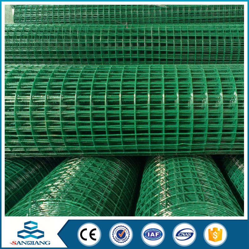 6*6 galvanized welded wire mesh aviary mesh for cages