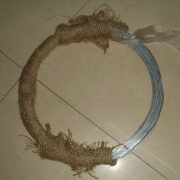 Electro Galvanized Wire