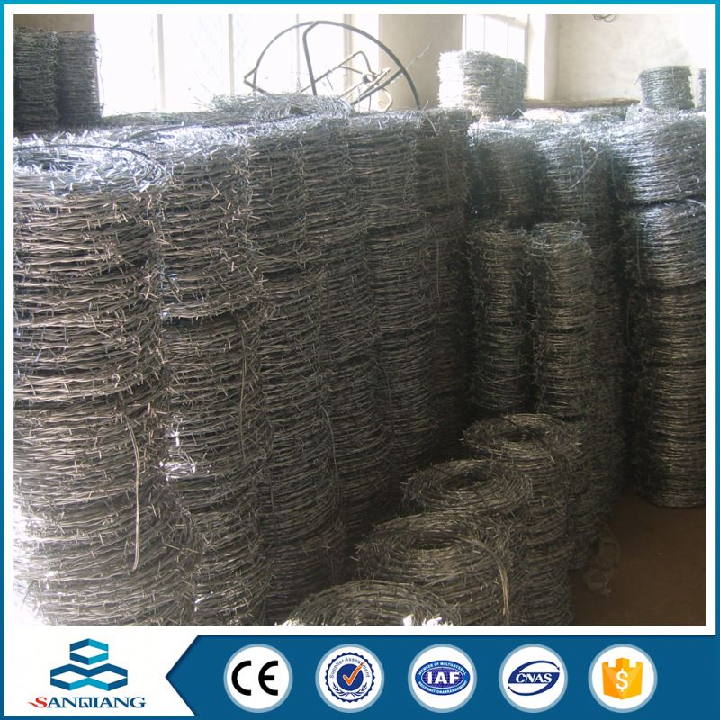 hot dipped single type competitive price galvanized razor barbed wire