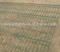 welded fence netting/hot-dipped galvanization fencing wire mesh