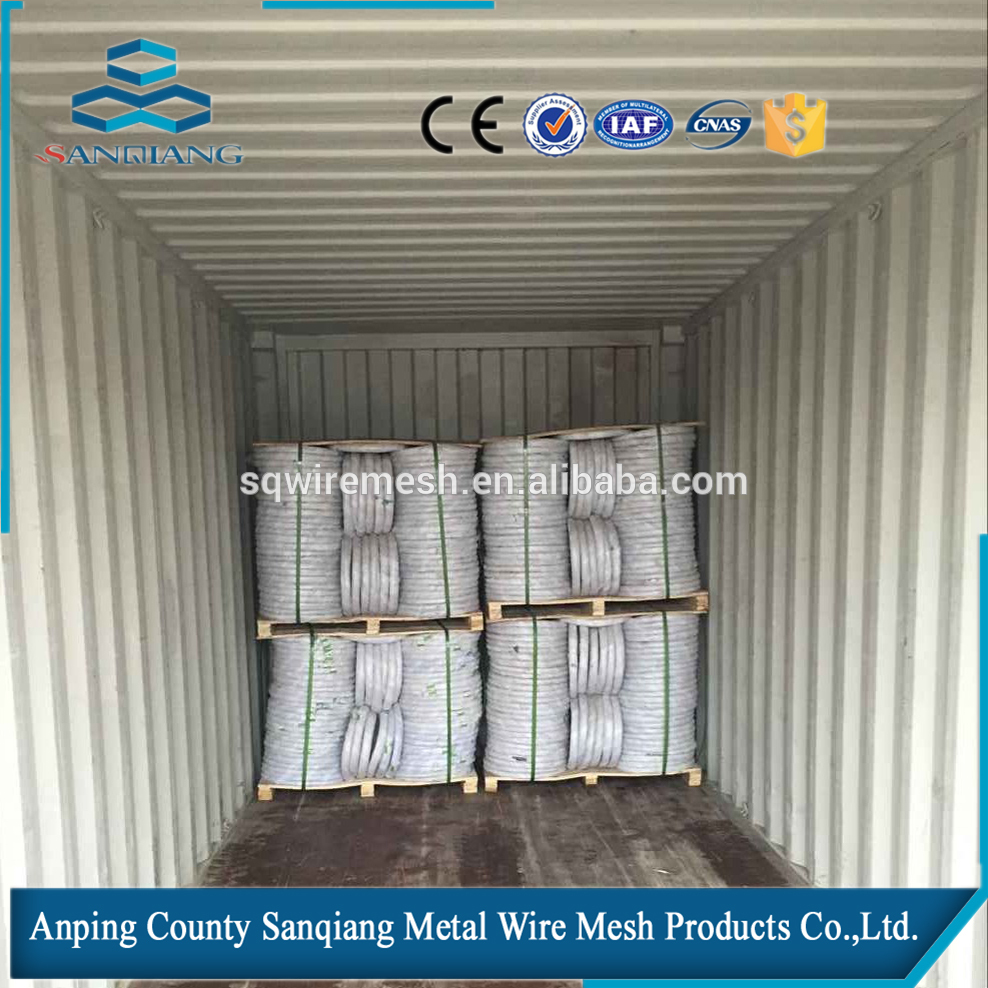 BWG 22 8kg Electro Galvanized Iron Wire